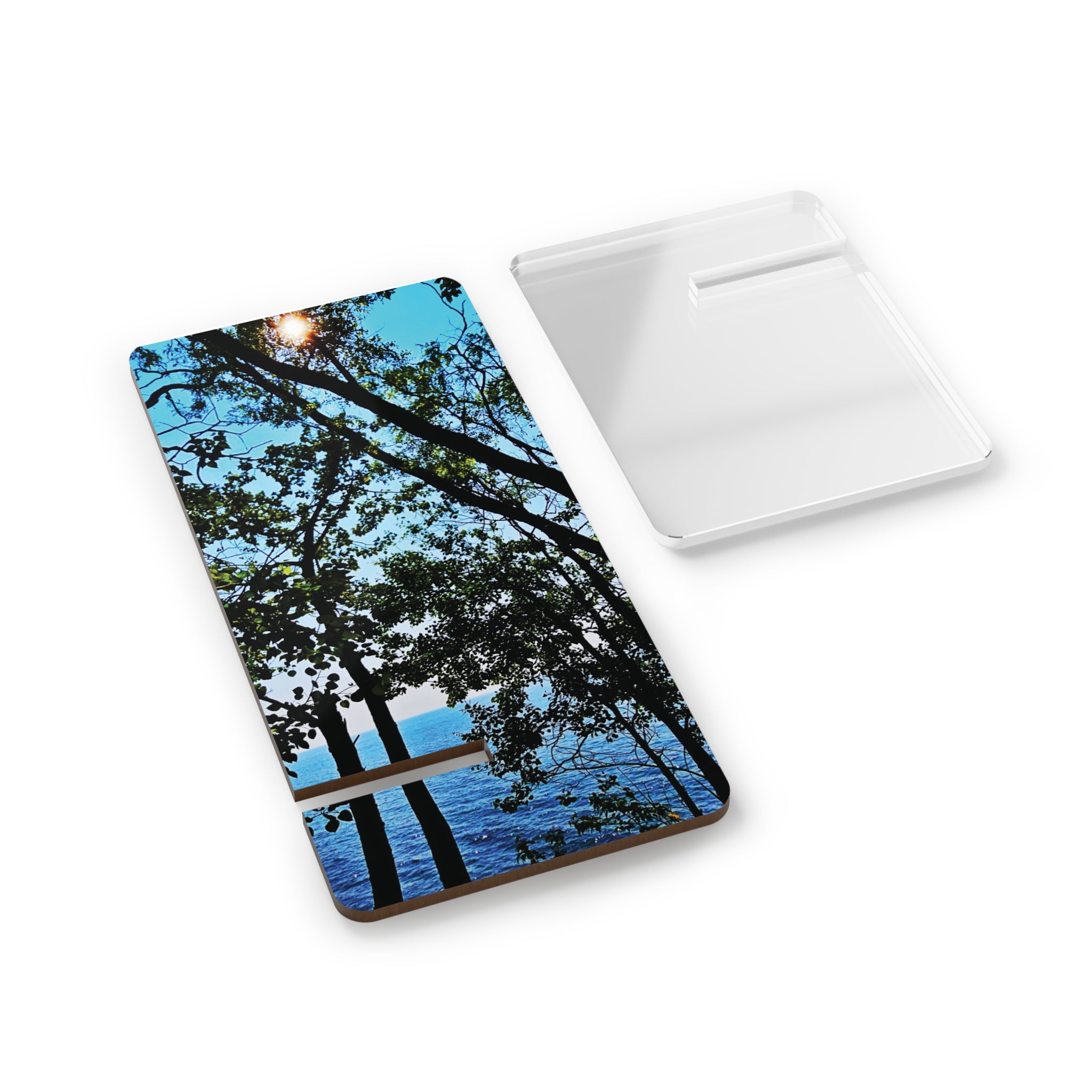 Blue Beyond the Branches Mobile Display Stand