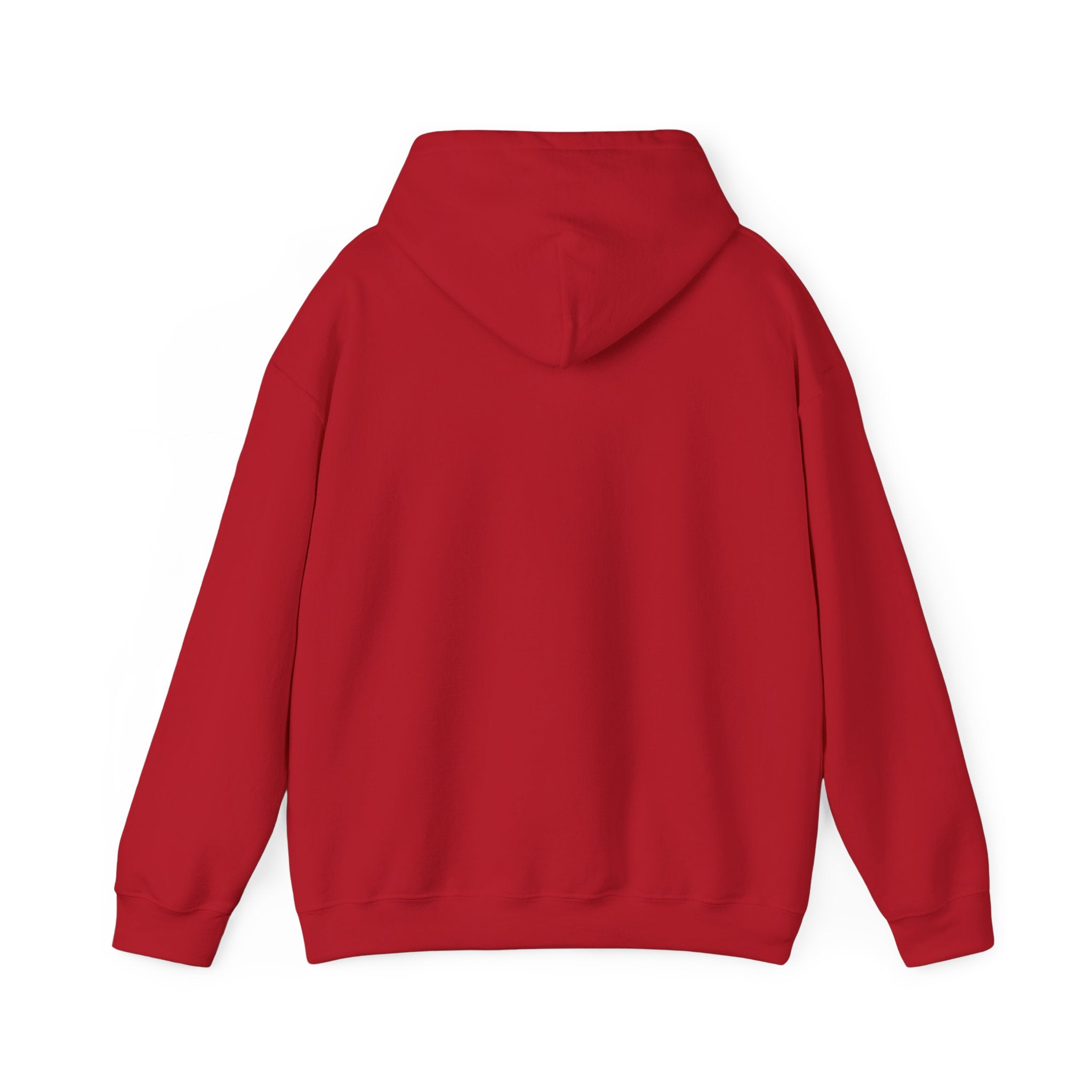 Stylish Hooded Sweatshirt