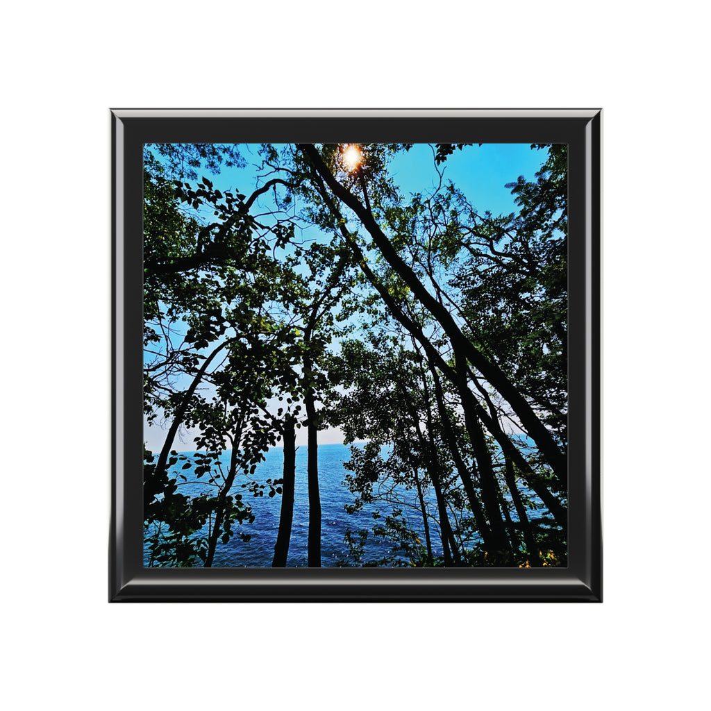 Blue Beyond the Branches Jewelry Box
