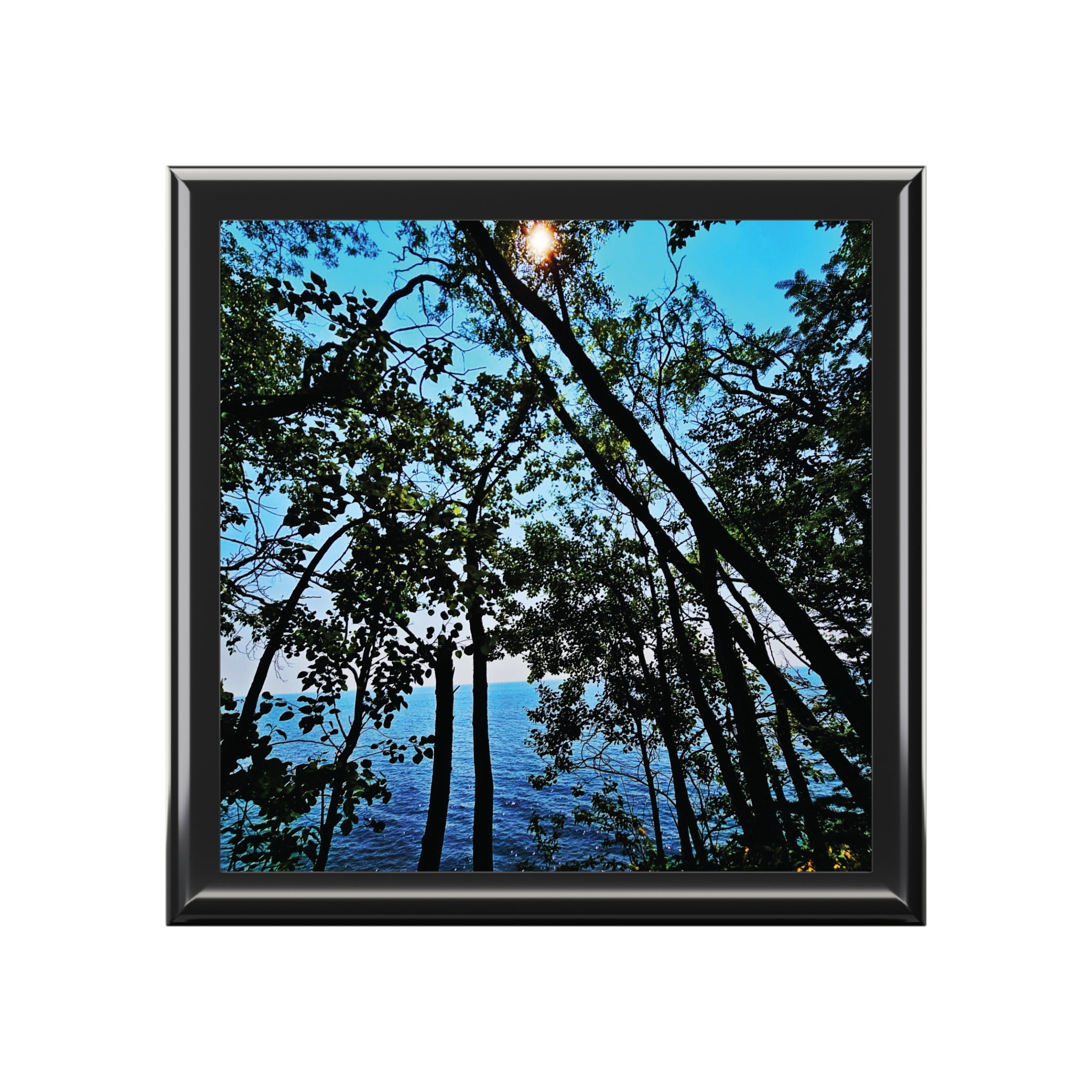 Blue Beyond the Branches Jewelry Box