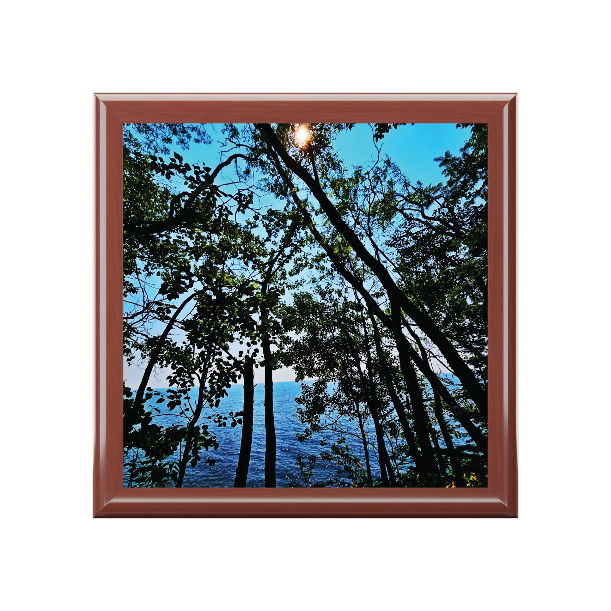 Blue Beyond the Branches Jewelry Box