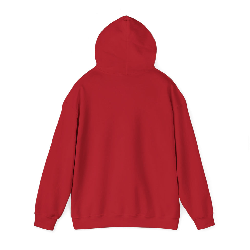 Stylish Hooded Sweatshirt