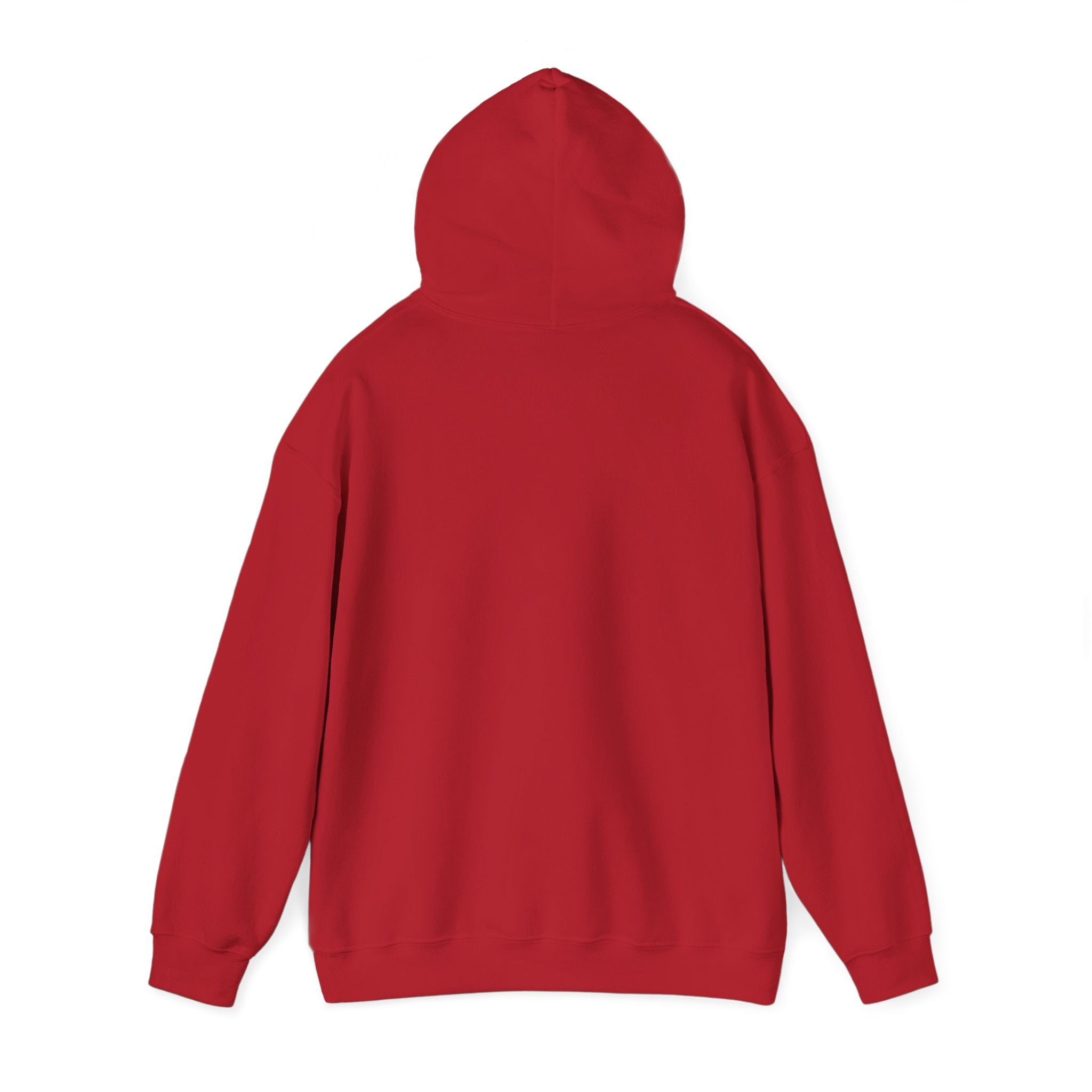 Stylish Hooded Sweatshirt
