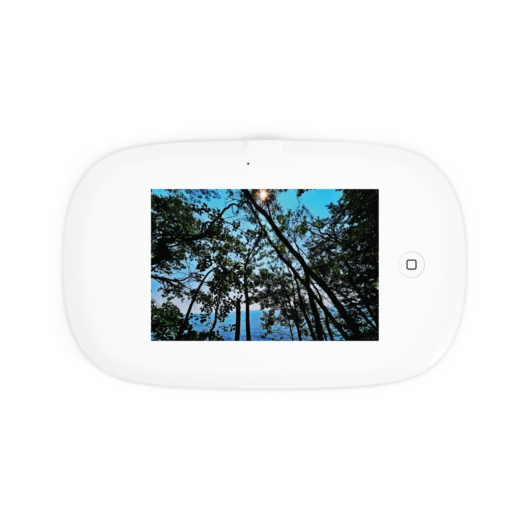Blue Beyond the Branches UV Phone Sanitizer with Wireless Charging