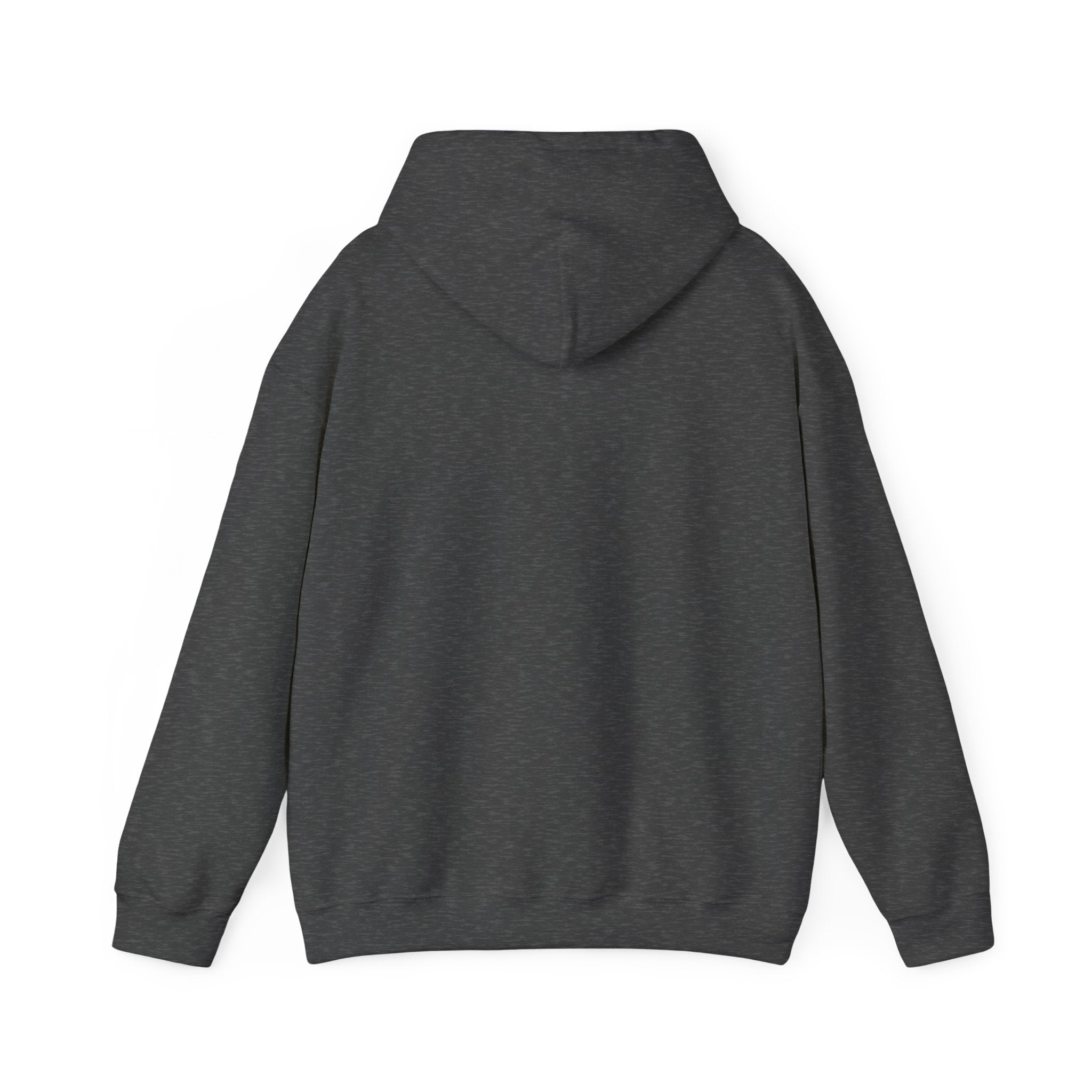 Stylish Hooded Sweatshirt