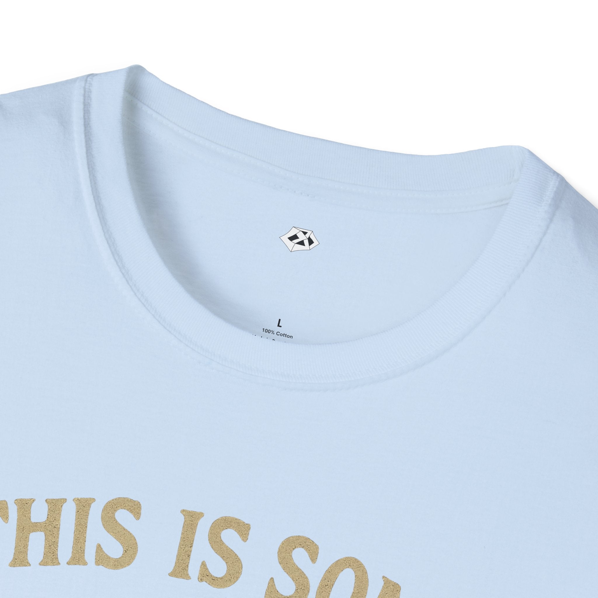 This is some Boo Sheet T-Shirt, Halloween Humor