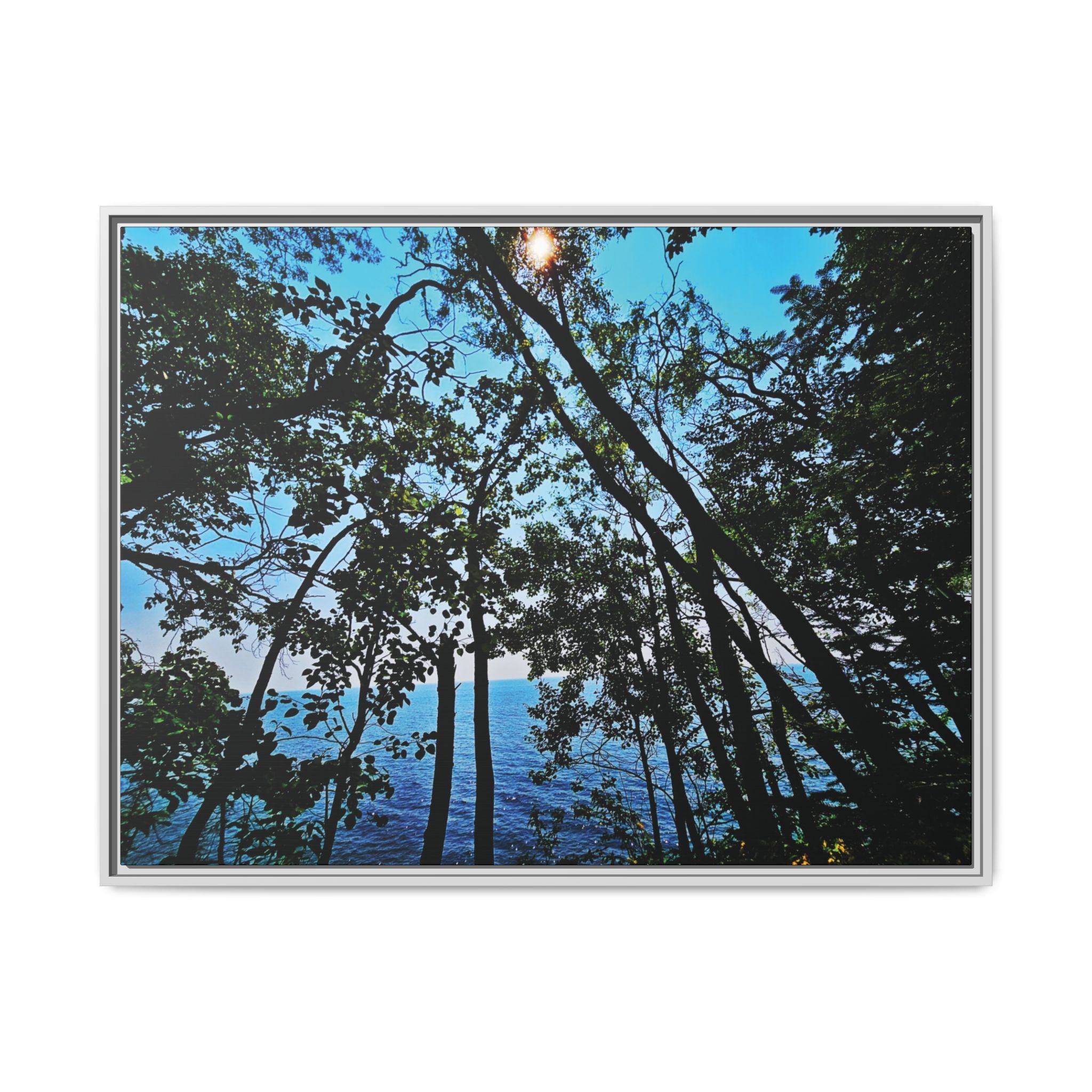 Blue Beyond the Branches Framed Matte Canvas Wall Art