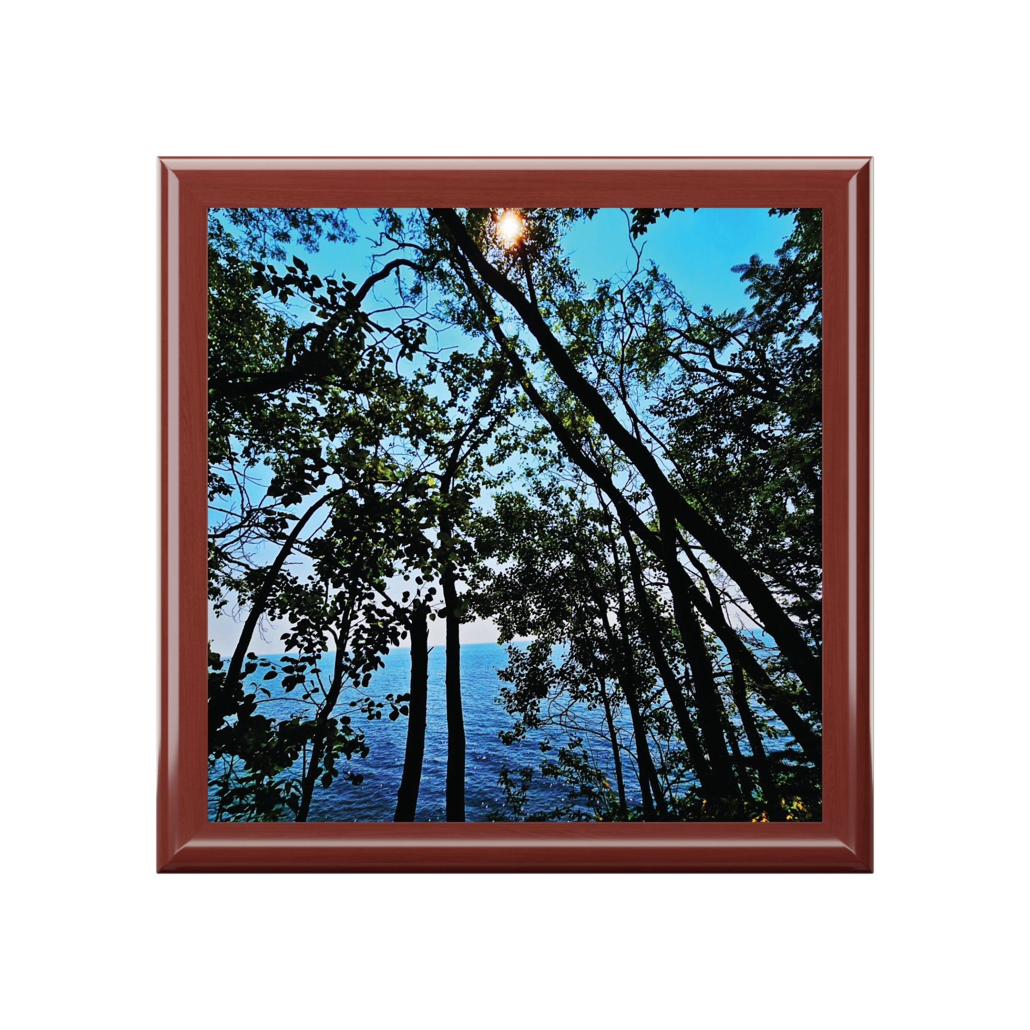 Blue Beyond the Branches Jewelry Box