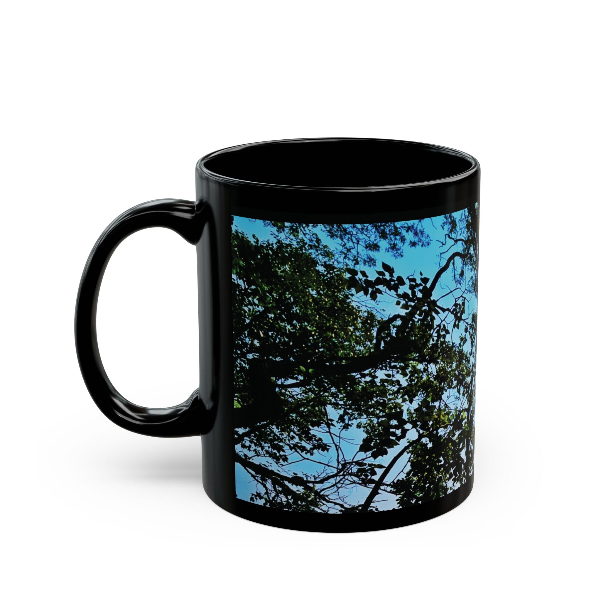 Blue Beyond the Branches Black Mug