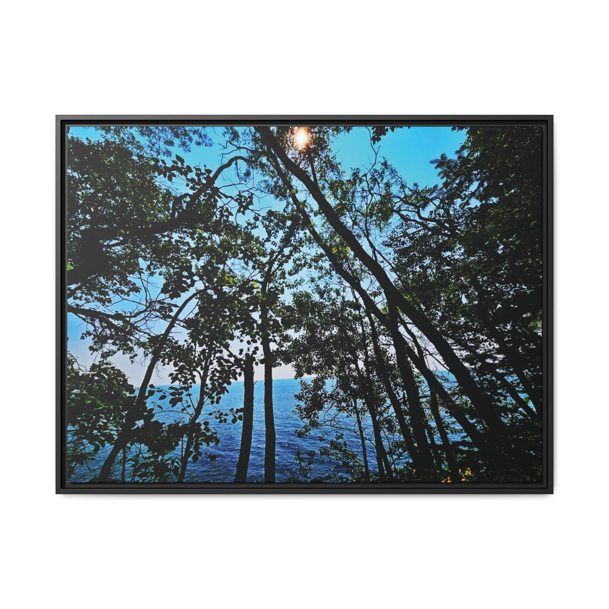 Blue Beyond the Branches Framed Matte Canvas Wall Art