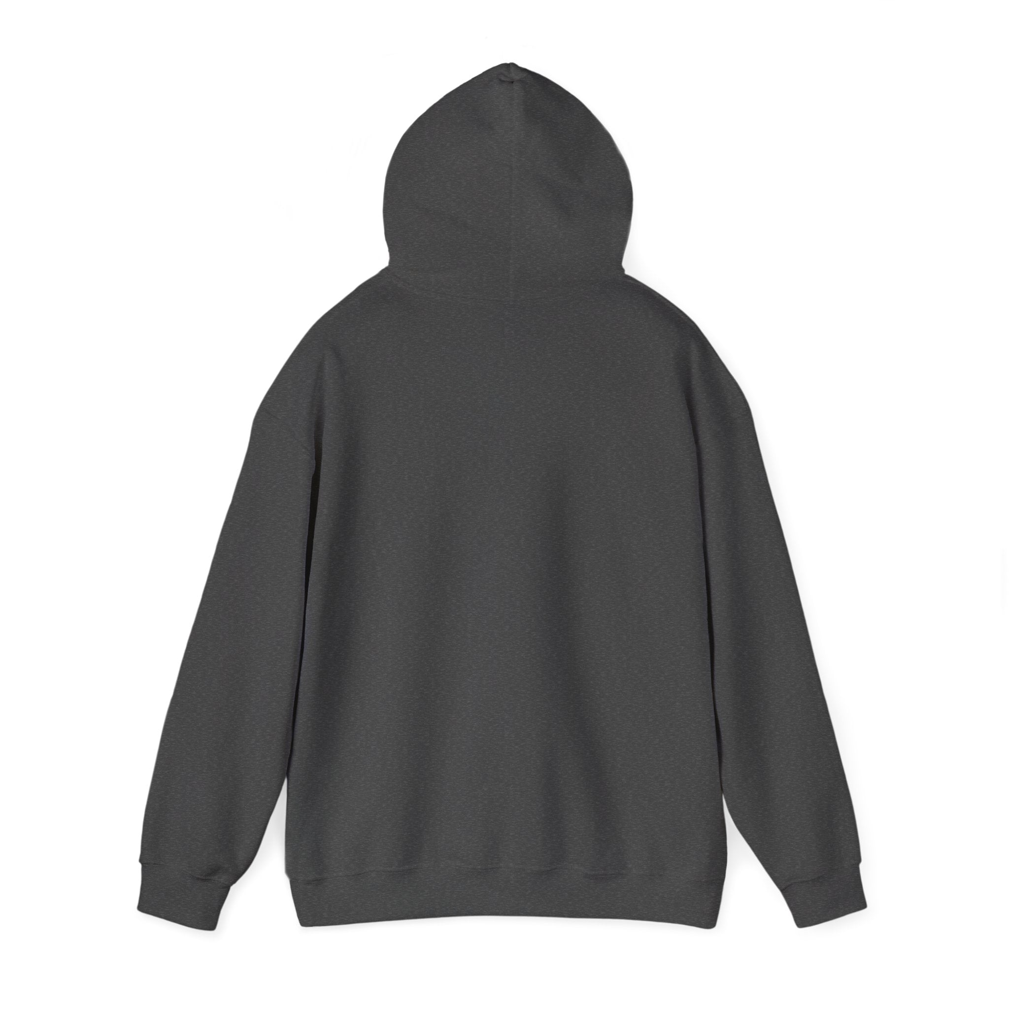 Stylish Hooded Sweatshirt
