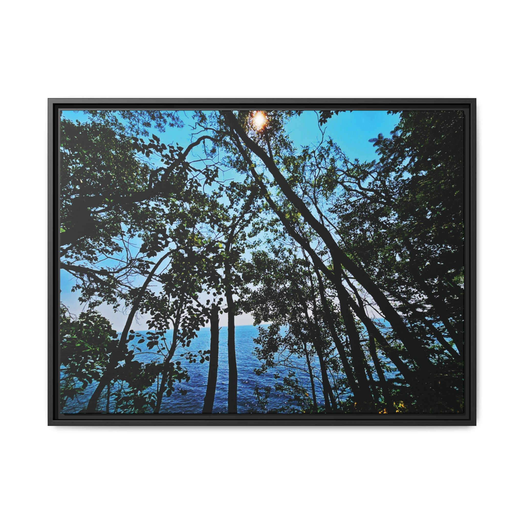 Blue Beyond the Branches Framed Matte Canvas Wall Art